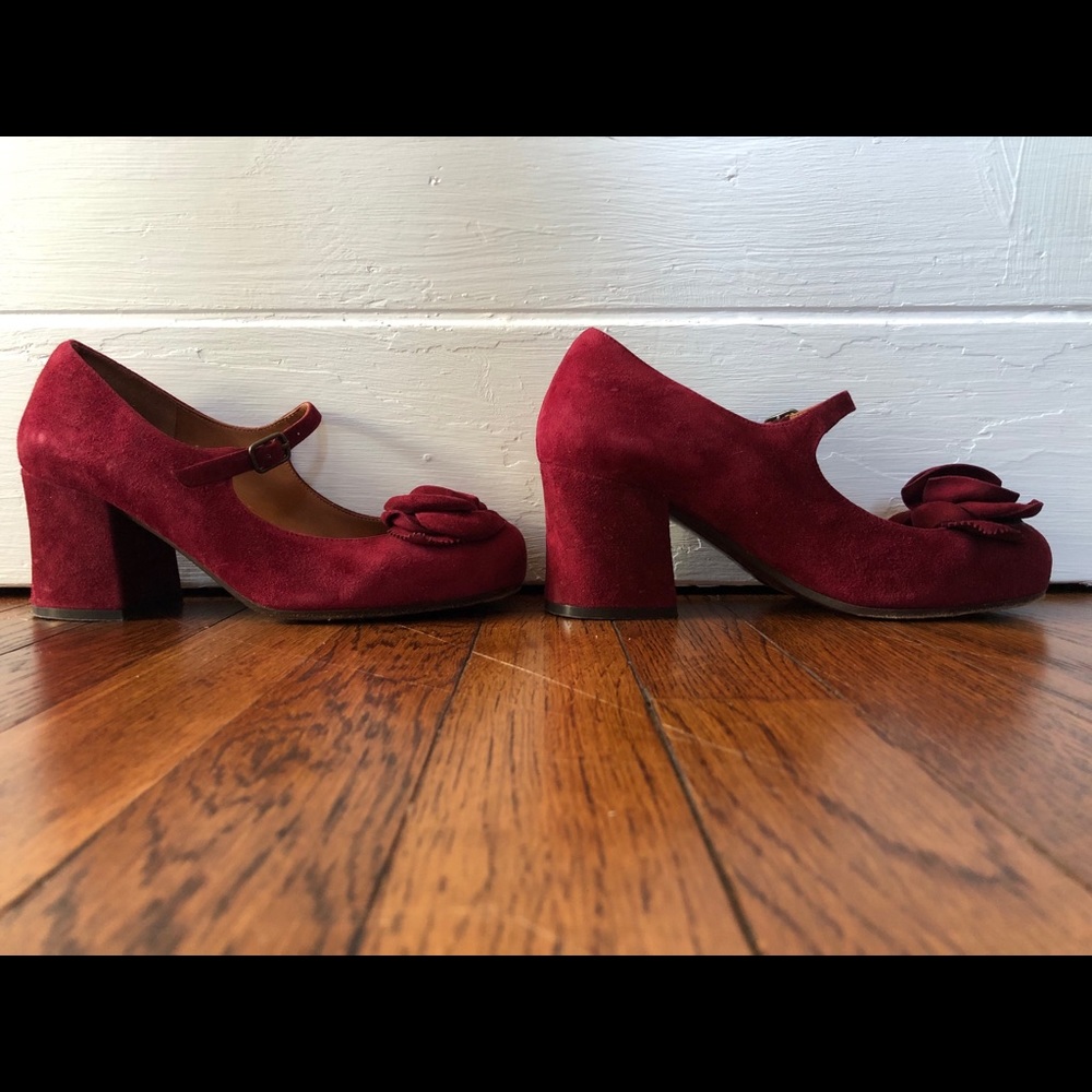 Bri-ripon red